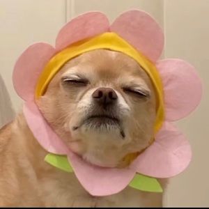 Meet your Posher, Tamia